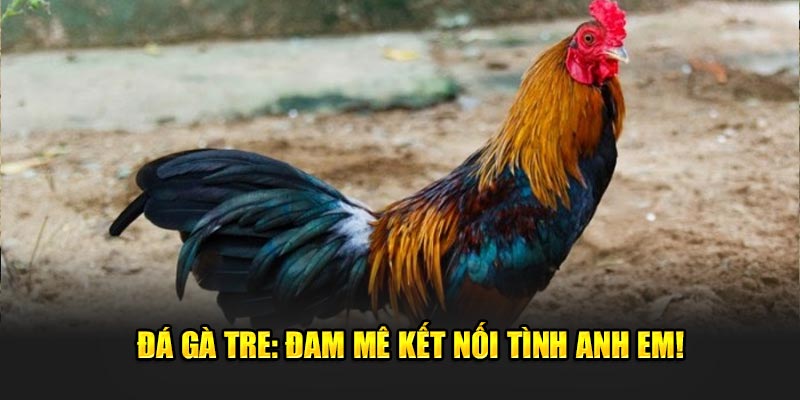 Da-ga-tre-dam-me-ket-noi-tinh-anh-em