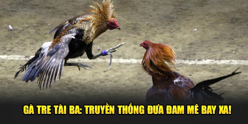 Ga-tre-tai-ba-truyen-thong-dua-dam-me-bay-xa