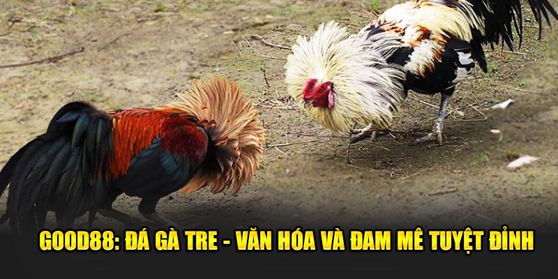 Good88-Da-Ga-Tre-Van-Hoa-Va-Dam-Me-Tuyet-Dinh