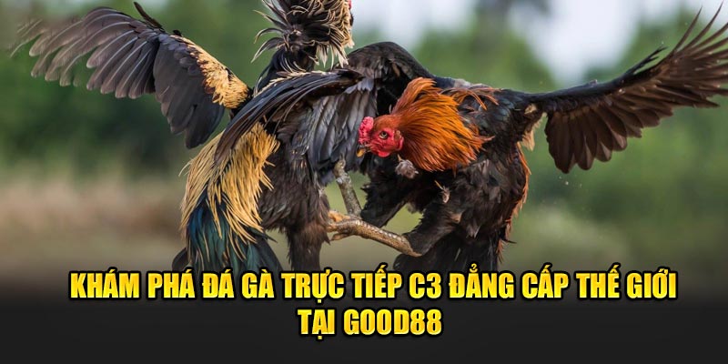 Kham-Pha-Da-Ga-Truc-Tiep-C3-Dang-Cap-The-Gioi-Tai-Goog88