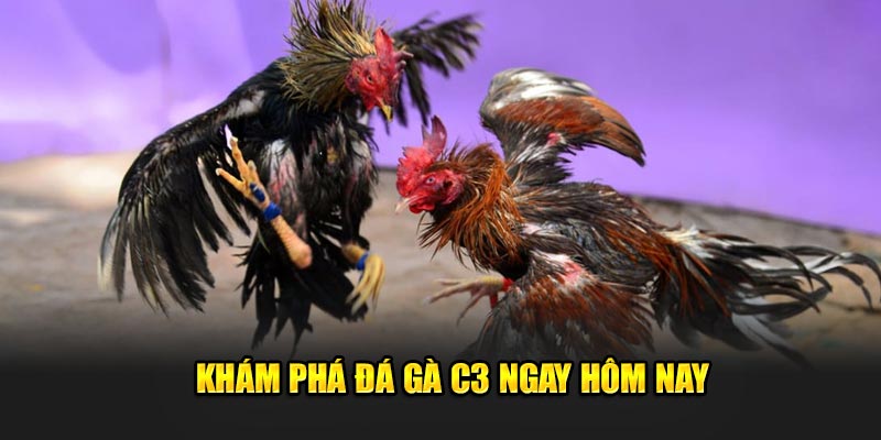 Kham-pha-Da-Ga-C3-ngay-hom-nay