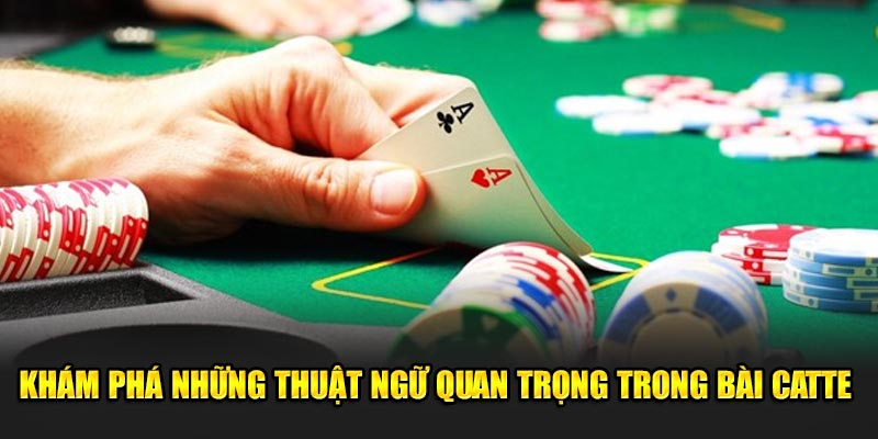 Kham-pha-nhung-thuat-ngu-quan-trong-trong-bai-catte