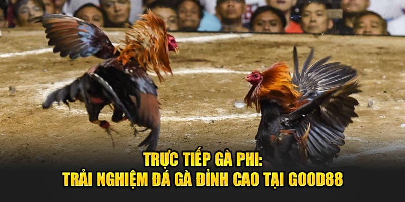 Truc-Tiep-Ga-Phi-Trai-Nghiem-Da-Ga-Dinh-Cao-Tai-Good88