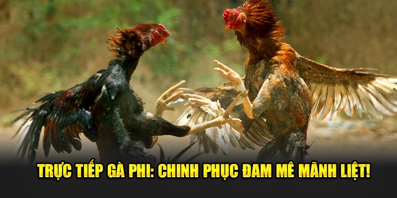 Truc-tiep-ga-phi-Chinh-phuc-dam-me-manh-liet