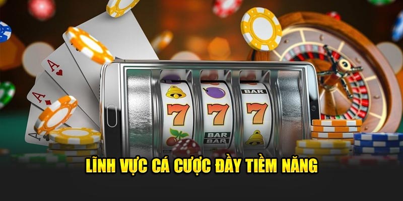 linh-vuc-ca-cuoc-day-tiem-nang