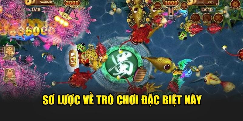 so-luoc-ve-tro-choi-dac-biet-nay